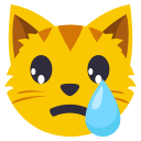 :eo_crying_cat_face: